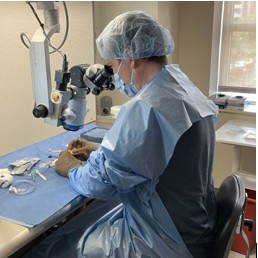 Educational Spotlight: The Journey of a Donated Cornea